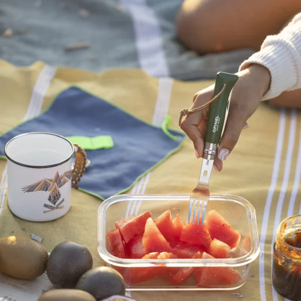 Набір столових приладів Opinel Nomad Picnic+ (002501)