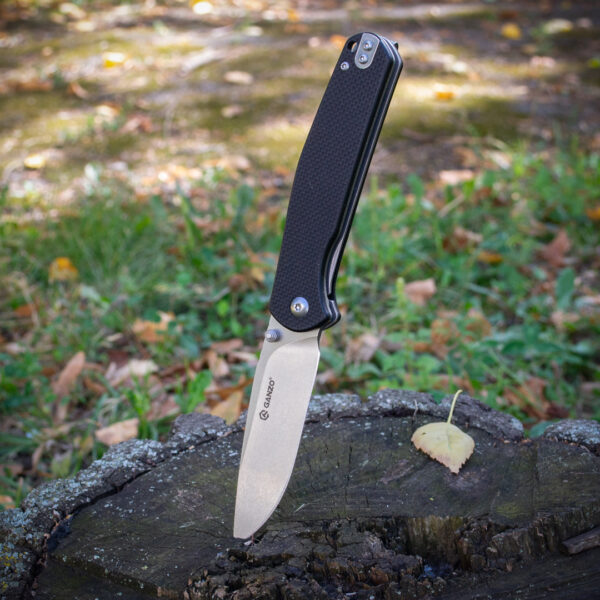 Складний ніж Ganzo G6804-BK — сталь 8Cr14MoV, чорна рукоять G10